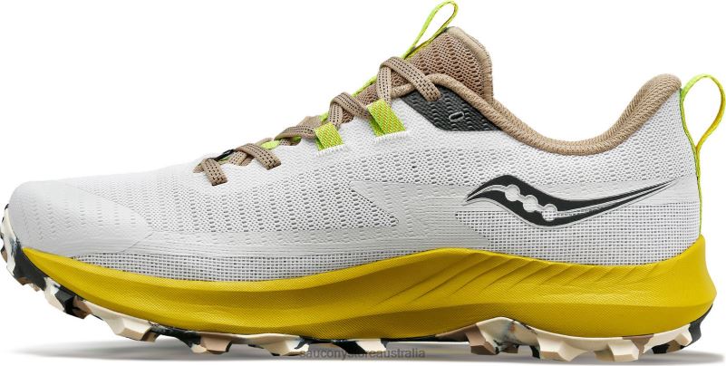 Saucony Men Peregrine 13 8460X41 Fog/Clay