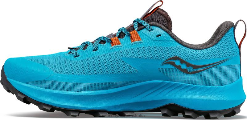 Saucony Men Peregrine 13 8460X44 Agave/Basalt