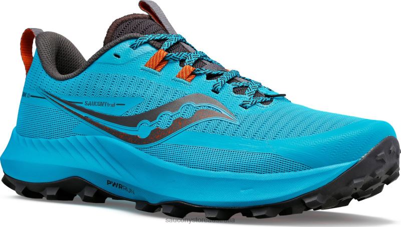 Saucony Men Peregrine 13 8460X44 Agave/Basalt