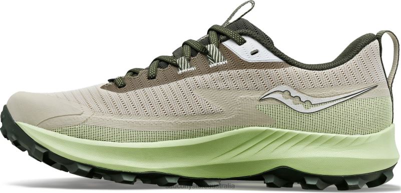 Saucony Men Peregrine 13 GTX 8460X112 Dust/Umbra