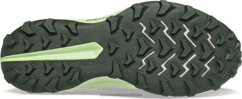 Saucony Men Peregrine 13 GTX 8460X112 Dust/Umbra