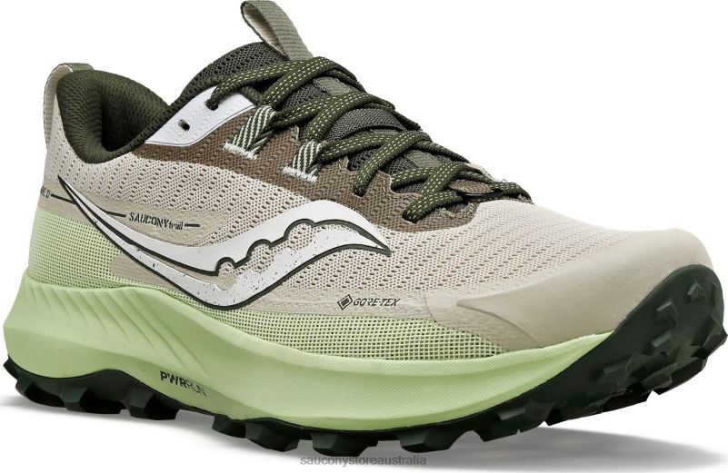 Saucony Men Peregrine 13 GTX 8460X112 Dust/Umbra