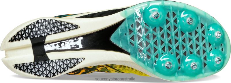 Saucony Women Endorphin Cheetah 8460X600 Black/ViZi