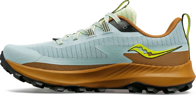 Saucony Women Peregrine 13 8460X542 Glacier/Bronze