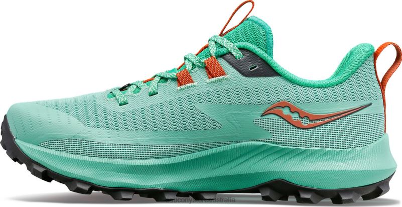 Saucony Women Peregrine 13 8460X544 Sprig/Canopy