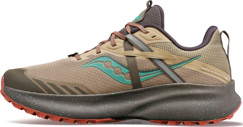 Saucony Women Ride 15 TR 8460X547 Desert/Sprig